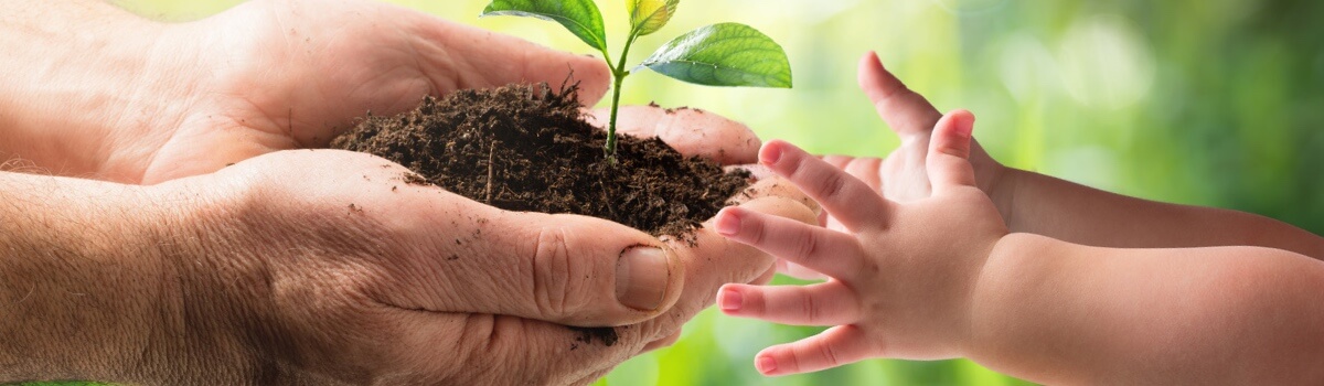 Symbolbild für Nachhaltigkeit: Älterer Mensch übergibt Pflanzensprössling an Kleinkind