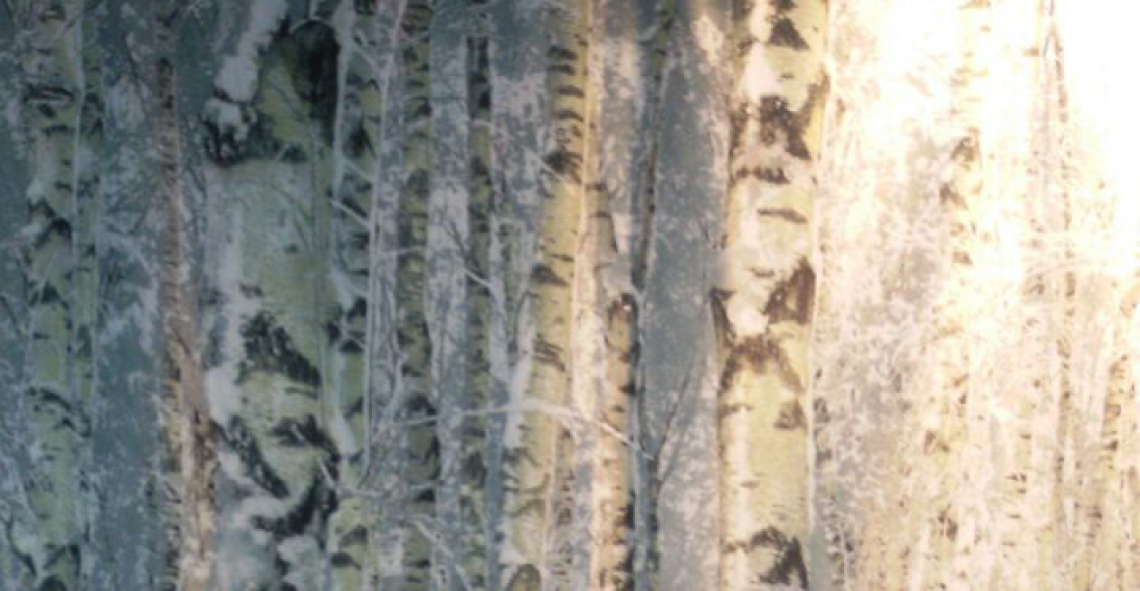Picture of a birch tree forest print with glitter and reflex printing