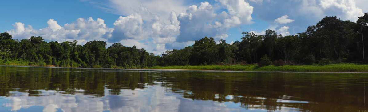 Am Matavén-Fluss im tropischen Regenwald von Kolumbien befindet sich das unterstützte Klimaschutzprojekt.