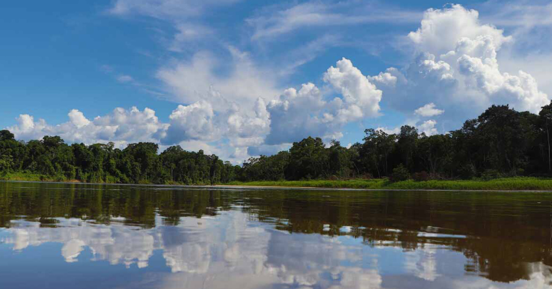 The supported climate protection project is located on the Matavén river in the tropical rainforest of Colombia.